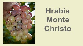 hrabia-monte-christo