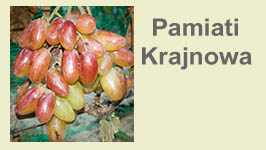 pamiati-krajnowa